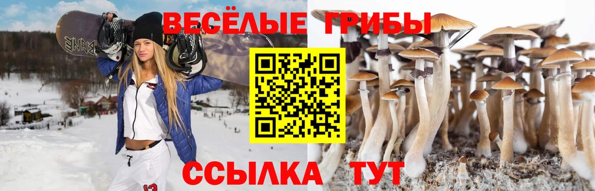 Галлюциногенные грибы ЛСД  Вход с VPN  Галлюциногенные грибы Cubensis  Ковров 